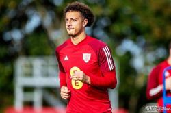 爱游戏网页版登录入口-关于威尔士队在欧预赛中意志坚定，晋级希望渺茫的信息