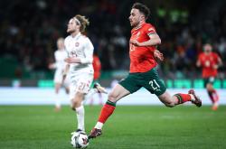 爱游戏亚洲官网-葡萄牙足球选手向欧洲杯决赛圈进军