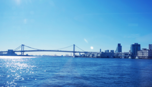 阿拉伯联合队：燃魂绿茵，预选赛激战正酣！