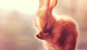 阿拉伯联合队：燃魂绿茵，预选赛激战正酣！